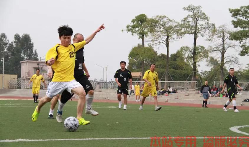 多米体育登录注册